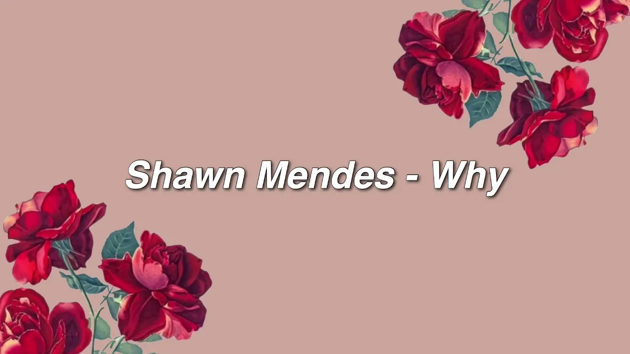 Shawn Mendes - Why {lyrics}