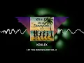 Kralex – Hit the Dancefloor Vol 3 (House, TechHouse, BassHouse, TribalHouse, AfroHouse DJ Mix)