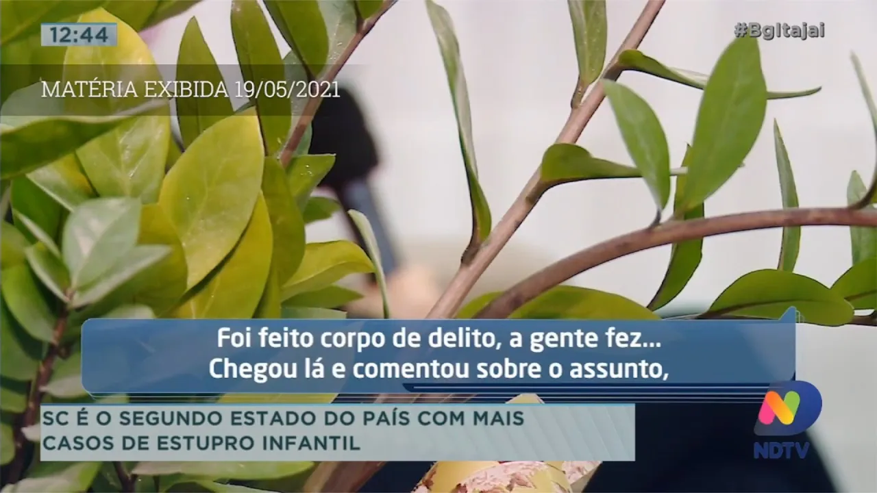 SC é segundo estado do País com mais casos de estupro infantil