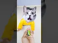 Download Lagu Billi boli meow meow 🙈🙈🤪🤪😻😻😹😹🐾😻😻 #funny #cat #trendingshorts #shorts #viralshorts #billi #cute