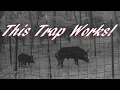 How To Build a Corral Figure C Figure 6 Feral Hog Trap Trapping Wild Feral Pigs