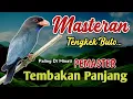 Lagu MASTERAN TENGKEK BUTO UNTUK CENDET ~ MATERI CEPAT DIHAFAL PALING DICARI PEMASTER