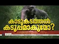 അരിക്കൊമ്പനെ കൊണ്ടുവരരുത്; ആനപ്പാടിയിൽ പ്രതിഷേധം| Arikomban