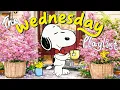 Happy Wednesday with Snoopy Coffee Relax Jazz Cafe to Refresh Your Mind by Jazzy
