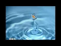🎶 玻璃魚~ 🎤 陳黎鐘 🎶  80年代清新 # 校園民歌