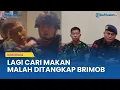 Download Lagu KRONOLOGI Prajurit TNI di Palembang Ditangkap Polisi, Disangka Pendemo saat Cari Makan