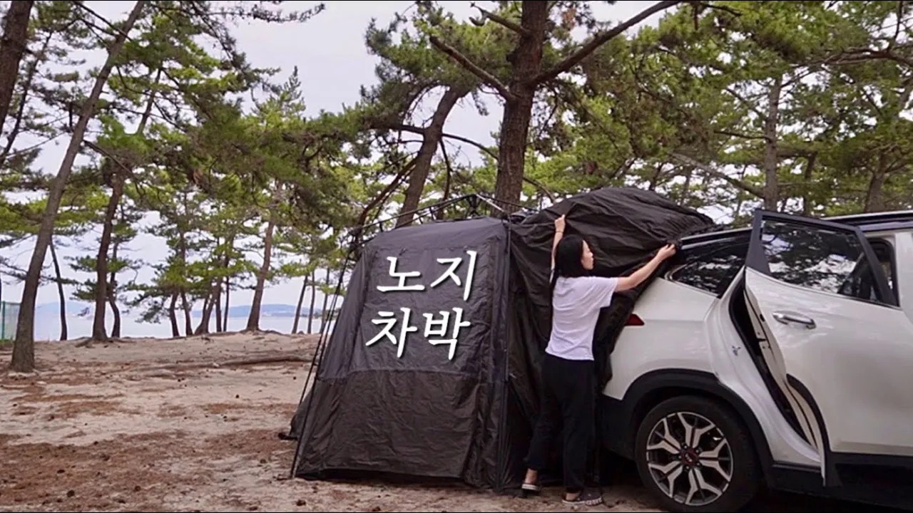 바다가 보이는 솔 숲 노지에서 차박캠핑 | 솔로 차박 | 셀토스 차박 | 반려견 동반 | 에코플로우 파워뱅크 리버프로 | 아이두젠 A10 max | 전남 무안 홀통해수욕장 サムネイル