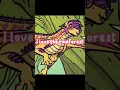 Turtlejou sad edit