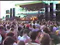 Elvis Costello - Mystery Dance 1982