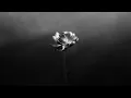 Download Lagu Little Simz - Lotus feat. Michael Kiwanuka \u0026 Yussef Dayes (Official Audio)