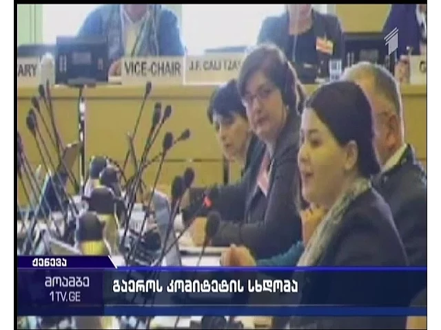 საქართველოში არსებული მდგომარეობა ჟენევაში განიხილეს - რა პრობლემებზე საუბრობენ გაეროს ექსპერტები