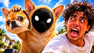 SOMETHING IS OFF ABOUT OUR DOG… 😱