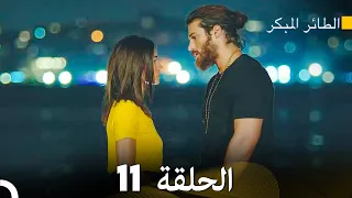 مسلسل الطائر المبكر الحلقة 11 دوبلاج عربي 