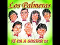 Doble Vida - Los Palmeras