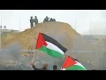 Download Lagu Laleh Khalili: Palestinian “Gandhis” Are Marching Every Day for Freedom from Israeli Apartheid