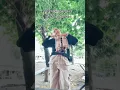 Lagu jurus! Jurus ngangkang buat santai, jurus jatuh cinta buat romantis, #funny #fyee #comedy #shorts