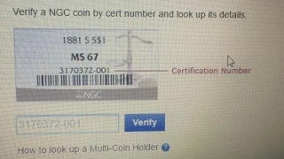 Get FREE verifying of NGC PCGS silver gold coin certification slab numbers