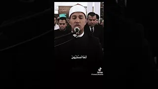 سورة هود القارئ بلال سيف 