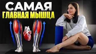 Застой лимфы, отёки, тяжесть в ногах, судороги, риск тромбоза и всё из-за ЭТИХ мышц