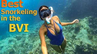 Best Snorkeling in the BVI – S7:E34