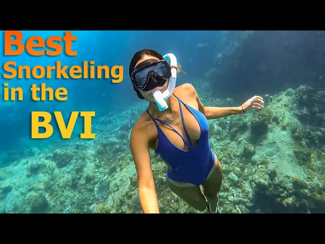 Best Snorkeling in the BVI – S7:E34
