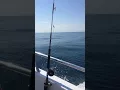 Rudee Tours Virginia Beach Va Deep Drop