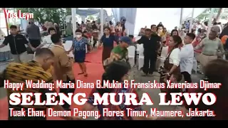 Download SELENG MURA LEWO. Dendang Dolo Lamaholot, Flores Timur. Tuak Ehan, Demon Pagong, Jakarta. MP3