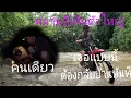 Download Lagu เข้าป่าคนเดียวแต่เจอแบบนี้ 20 กรกฎาคม ค.ศ. 2025