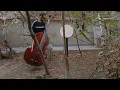 Download Lagu Hayat – Solo Contrabass Meditation Episode 1