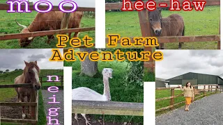 Mollie Moos Pet Farm Adventure FILIPINA-IRISH LIVING IN IRELAND