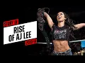 Story of the rise of AJ Lee 2013-14