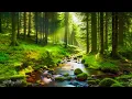 Download Lagu Muziek geneest het hart en bloedvaten, kalmerende muziek herstelt het zenuwstelsel, ontspannend