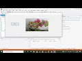 how to read an image file with vb net open an image file with visual basic net