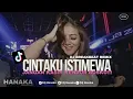 Download Lagu Dj Cintaku Istimewa Remix BreakBeat (House Musik2019)| Dj Hanaka Remix
