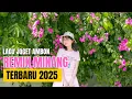 Download Lagu LAGU JOGET AMBON TERBARU 2025 REMIX MINANG