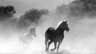 Arabic Nashed عربی زبان میں ترانہ عربى ژبه كي ترانه 