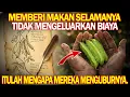 Lagu Protein lebih tinggi dari kedelai. 5 jenis makanan dari 1 tanaman. Mengapa itu dihapus?