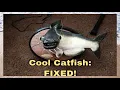 I Fixed My Cool Catfish 20 Phrases Bad To The Bone Version