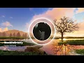 Hannes, waterbaby - Stockholmsvy (Visualizer)