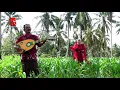 Download Lagu Gambus Bugis Viral 2022, Tania Kasi' Eloku - Jamal.L / Mulfi