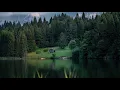 Flovry - Treehouse
