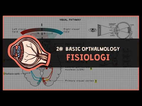 Download MP3 Fisiologi Melihat (Refraksi \u0026 Visual Pathway) #1 BASIC OPTHALMOLOGY