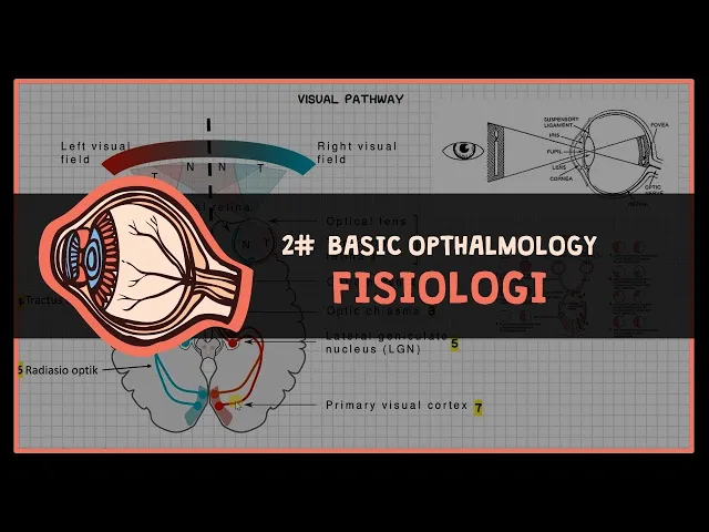 Download MP3 Fisiologi Melihat (Refraksi & Visual Pathway) #1 BASIC OPTHALMOLOGY