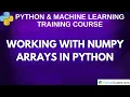 Working with NumPy Arrays in Python