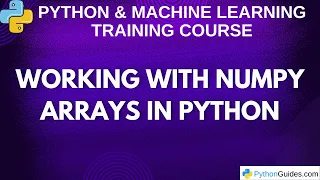 Working with NumPy Arrays in Python