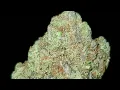BIRT AY CAKE STRAIN WAKE AND BAKE STYLE