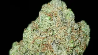 BIRT AY CAKE STRAIN WAKE AND BAKE STYLE