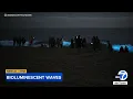 Bioluminescent waves captured in Newport Beach