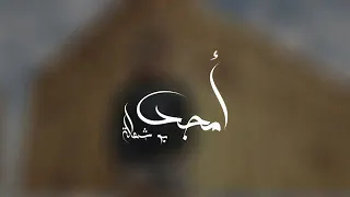 امجد بو شعالة 