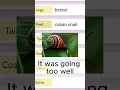 Random Animal Generator Challenge I didn t want to touch it anyway